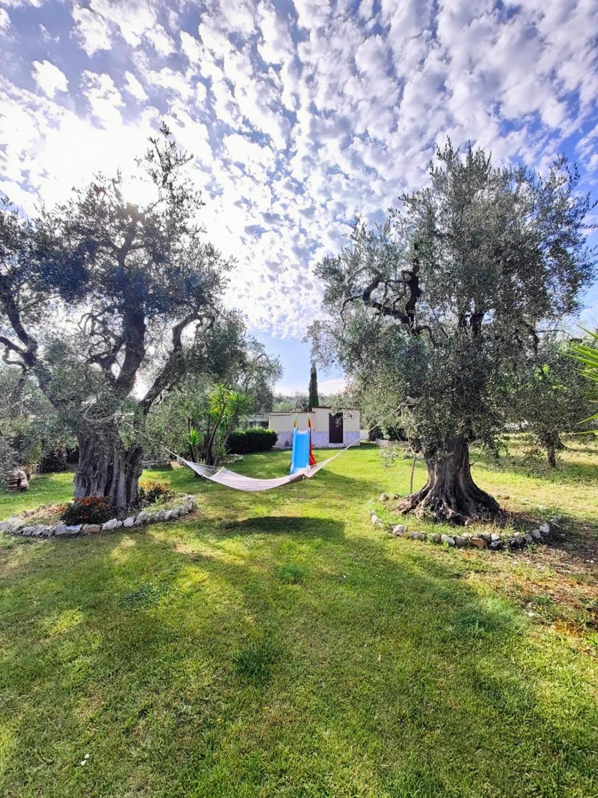 Villa Fenice Bed & Breakfast Βιέστε Εξωτερικό φωτογραφία