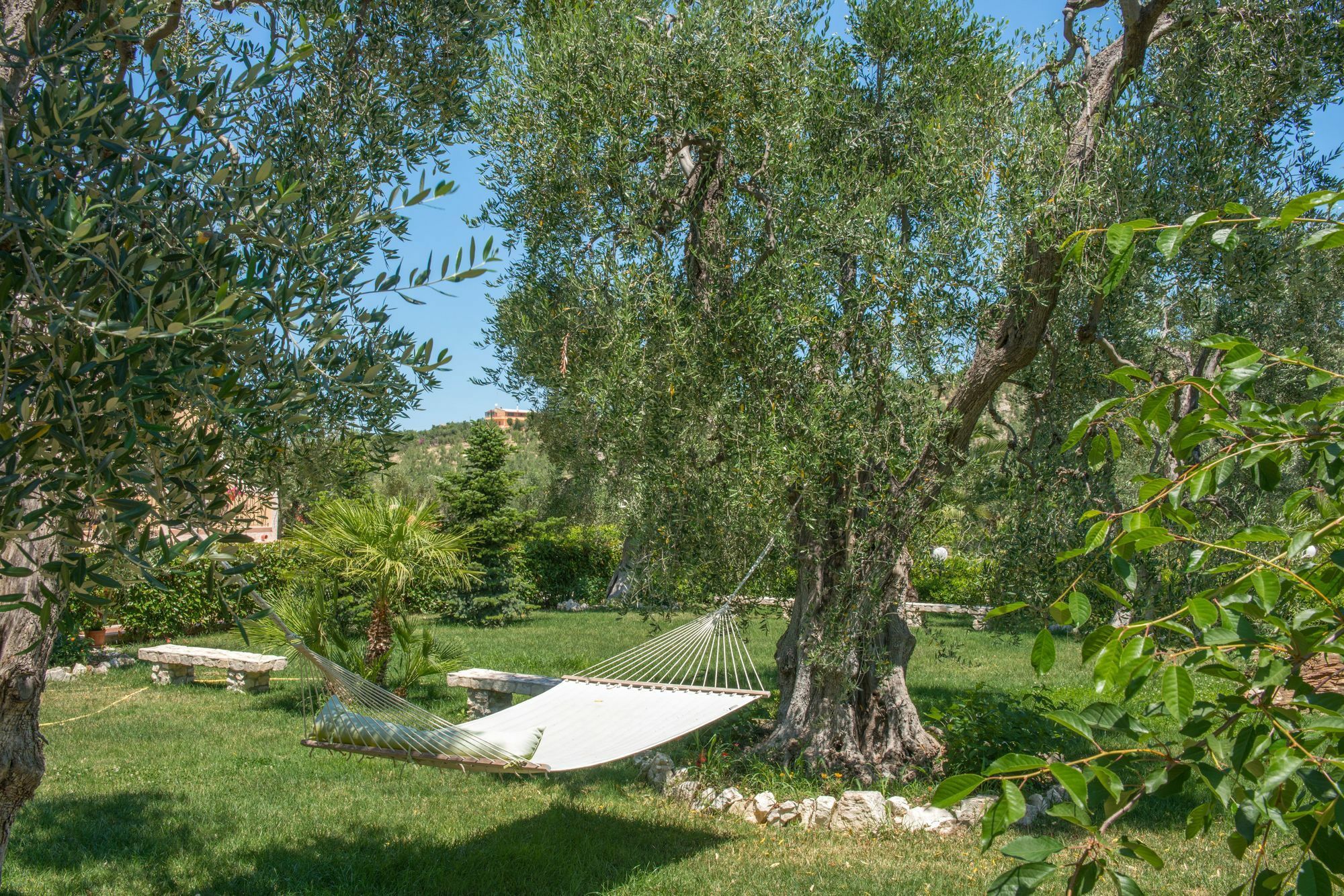 Villa Fenice Bed & Breakfast Βιέστε Εξωτερικό φωτογραφία
